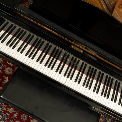 Yamaha DC2 Disklavier Player Grand Piano | Polished Ebony | SN: 5783253 image 4
