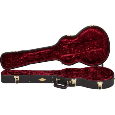 Taylor T5z Deluxe Brown Hardshell Case image 4
