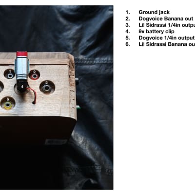 Ciat-Lonbarde DogeVox image 6