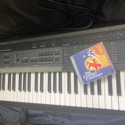KORG DW-8000 Programmable Digital/Analog Waveform Synthesizer w/ ARPEGGIATOR and Soft Case   Studio Use Only!