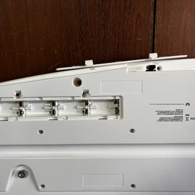 Roland AX-Synth Shoulder Synthesizer - White w/ gig bag power supply image 11