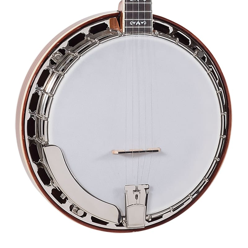 Recording King RK-ELITE-75 The Elite Flying Eagle Resonator Banjo w/HSC