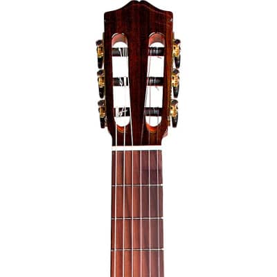 Cordoba C7 CD Cedar Top Indian Rosewood Back and Sides Nylon-String Classical Guitar image 6