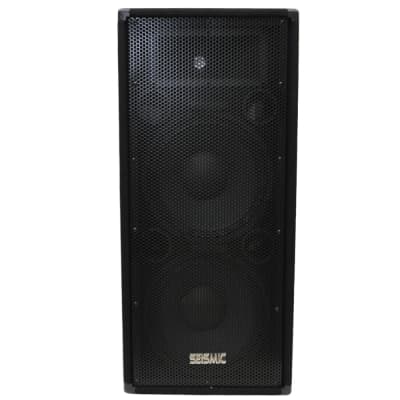 Dual Premium 12" PA/DJ Speaker Cabinet with Titanium Horns - NEW image 2