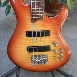 Dame Fall & Pall 300 Active Bass Guitar Flame Maple Top image 1