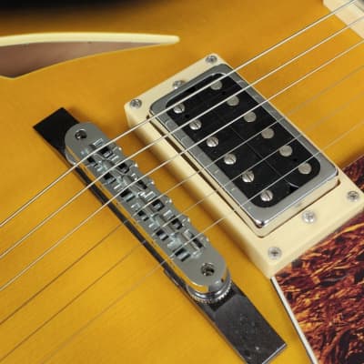 2013 Italia Torino Semi Hollowbody Electric Guitar (Sunburst) image 4