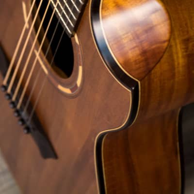 Washburn WCGM55K Comfort Series Grand Auditorium Koa Top/Back/Sides Mahogany Neck 6-String Acoustic Guitar w/Gig Bag image 8