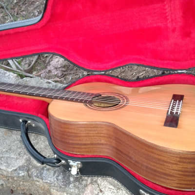 Ricardo Sanchis Carpio Classical guitar image 15