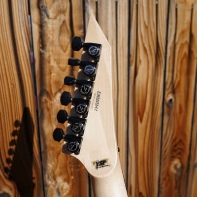 ESP CUSTOM SHOP M-II FR Black w/Snake inlays 6-String Electric Guitar w/ Case (2025) image 5