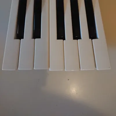Korg  N364 Full Octave Keys