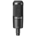 Audio-Technica AT2050 Side-Address Condenser Microphone