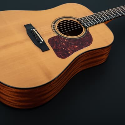Gallagher G 55 Dreadnought 2011 Natural image 25