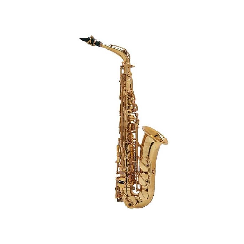 Sax contralto store selmer