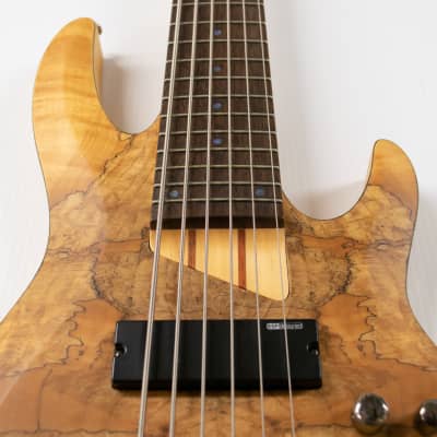 ESP LTD B-206SM 6-String Bass - Spalted Maple image 3