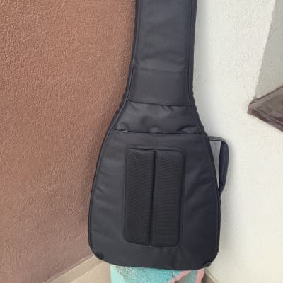 Fender f1225 gig bag hotsell