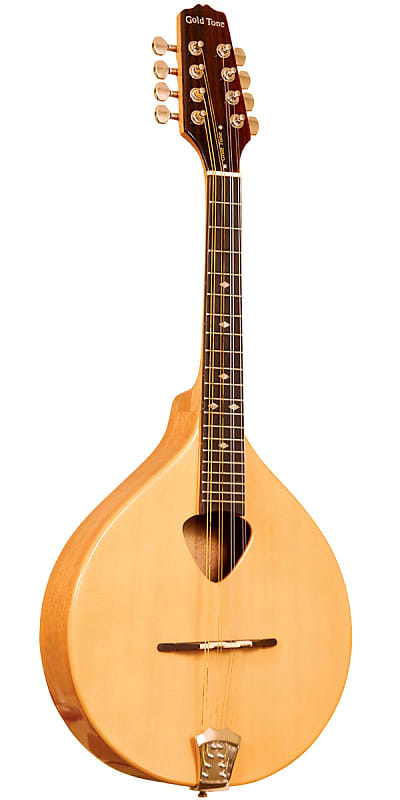 Gold Tone Mandola  w/ Bag image 1