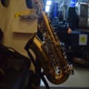 Selmer Alto Saxophone AS500 w/Case