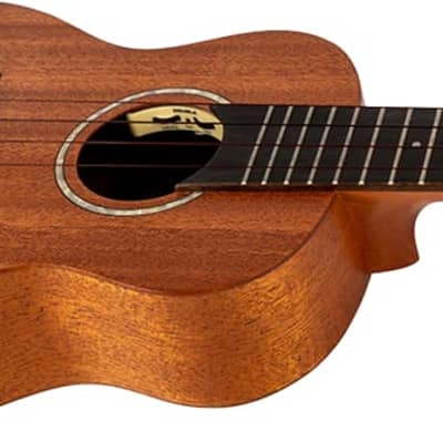 Flight Antonia TE Tenor Electro-Acoustic Ukulele - Natural with Bag image 4