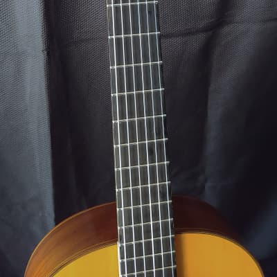 1964 Francisco Fernandez Brazilian Rosewood Classical Guitar image 6