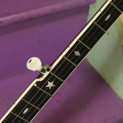 2022 Gold Tone OT-800LN Longneck 5-String Banjo (VIDEO! Fresh Setup, Ready) image 4
