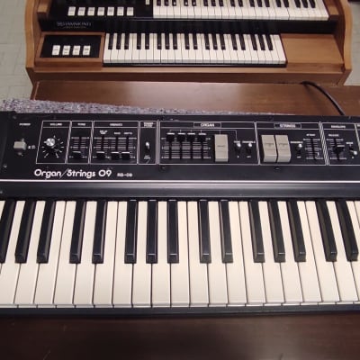 Roland RS-09 44-Key Organ / String Synthesizer 1978 - 1983 - Black