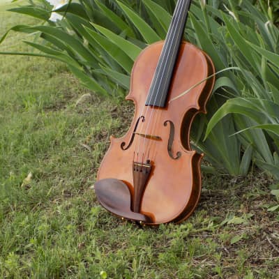 Handmade Soloist level Violin, 2022 Dark Brown, Built in USA by Crow Creek Fiddles image 6