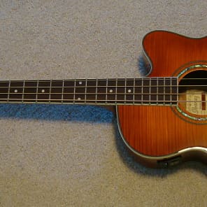 Ibanez aeb20e cheap