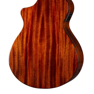 Breedlove ECO Discovery S Concert CE A/E Bass Guitar - Edgeburst European Spruce image 8