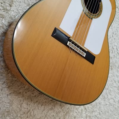 Very rare Takamine Flamenco No.10F | Reverb