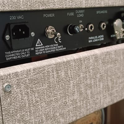 Bluetone Stringer Reverb 30W Combo image 10