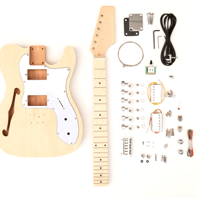 TL Thinline Style Electric Guitar Kit image 1