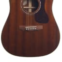 Guild D-120CE Acoustic-Electric Guitar solid mahogany, great tone, ultralight case.