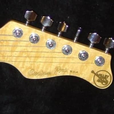 Valley Arts Custom Pro Tele(Brad Paisley signed Time Well Wasted Tour model signed  )2005 1of3 made image 2