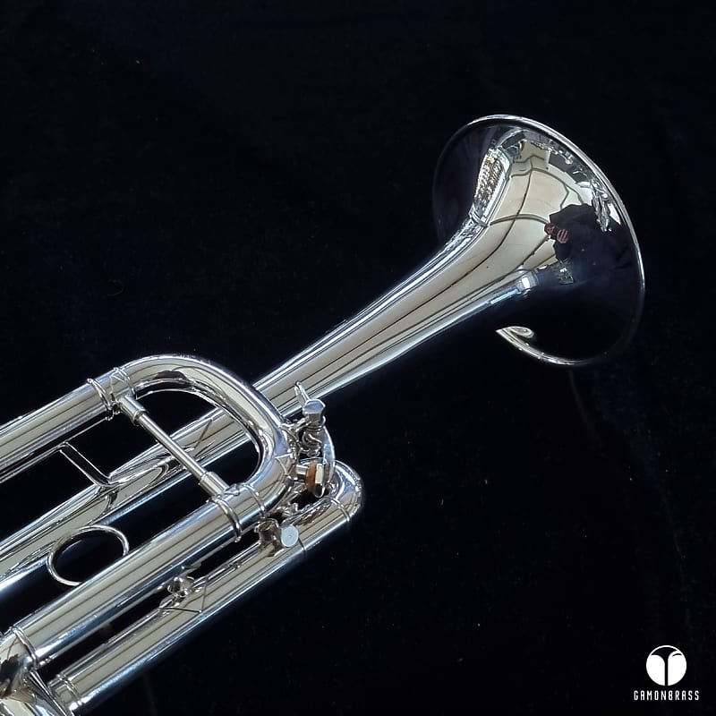 Vincent Bach Stradivarius 239 CL trumpet mouthpiece case Reverb