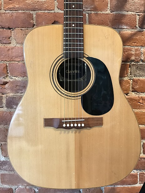 Giannini AWS 710 Acoustic c. 1974