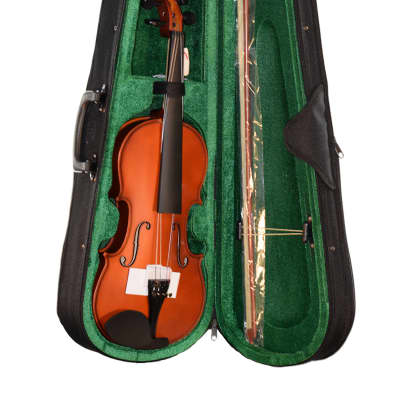 CARLO GIORDANO Electric Violin EV-202 4/4 BLUE | Reverb Canada