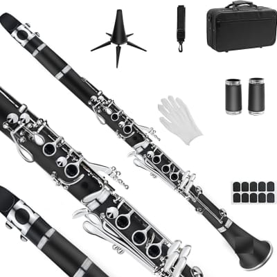 Nikkan Bb Clarinet - Free Shipping* | Reverb