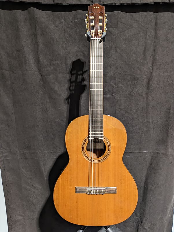 Cordoba Dolce 7/8 Nylon String Acoustic Guitar image 1
