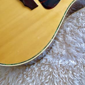 Cortez JG 6700 1970s Acoustic Guitar image 4