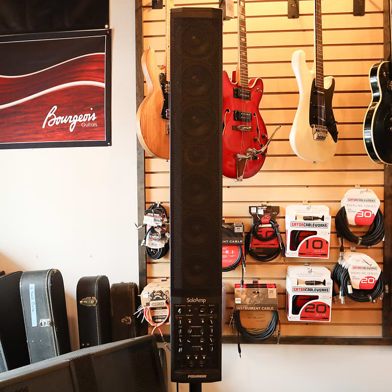 Fishman Soloamp PA System | Reverb