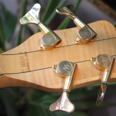 WARWICK "Streamer Stage I - Handcrafted in Germany 2012" HARDCASE, 4, 03 KG image 17