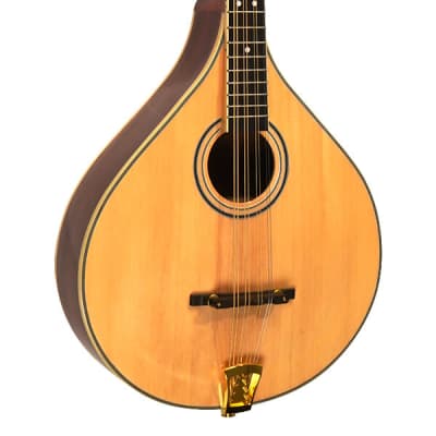 Gold Tone OM-800+ Arched Solid Spruce Top Octave & Mahogany Neck Mandolin with Hardshell Case image 2