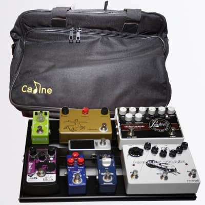 Caline CB-106 Pedalboard and Train Mid Sized Heavy Duty Case with Padding image 1