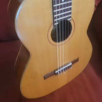 Hofner Carmencita T-3 Classical Guitar-Made in Spain 1960s image 3
