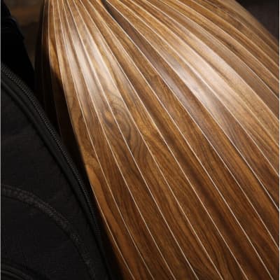 Roosebeck Deluxe 6-Course Lute Walnut image 6