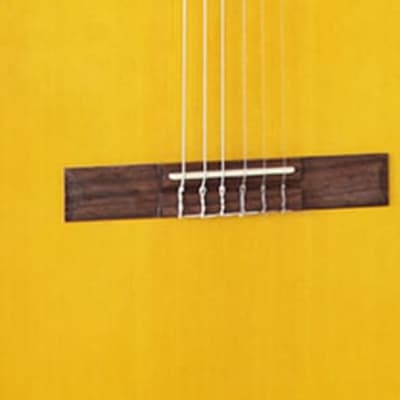 Takamine GC1-NAT Spruce/Mahogany Classical Acoustic Guitar - Natural Gloss image 2