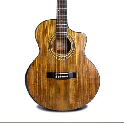 Walnut Top Side Back Acoustic Electric Guitar Built-in Tuner cutaway PPG894 image 1