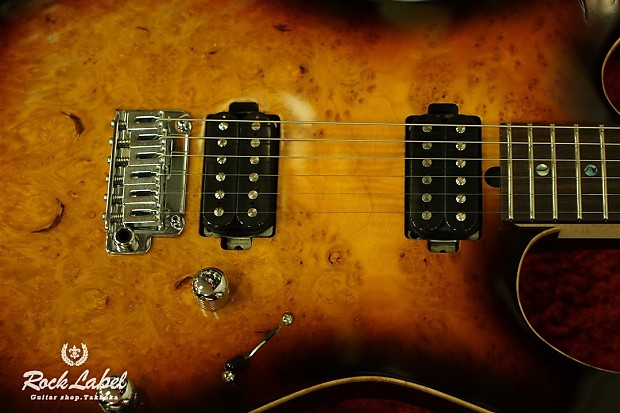 T's Guitars DST-Spider22 / Flame w/ Buzz Feiten Tuning