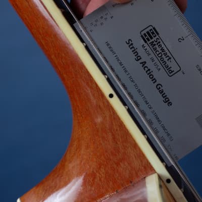 Harmony Sovereign H1203 1971 / A True Beauty! image 15