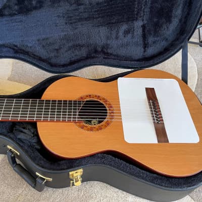 Rich DiCarlo 8 String Classical Guitar 2006 French Polish image 20